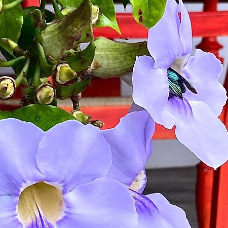 Goddess キャンディー エクステリア 写真